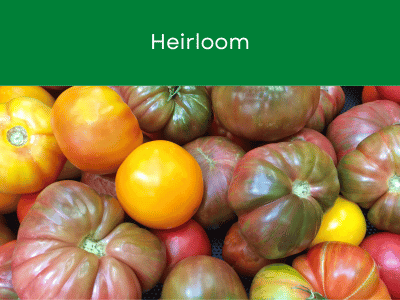 Heirloom